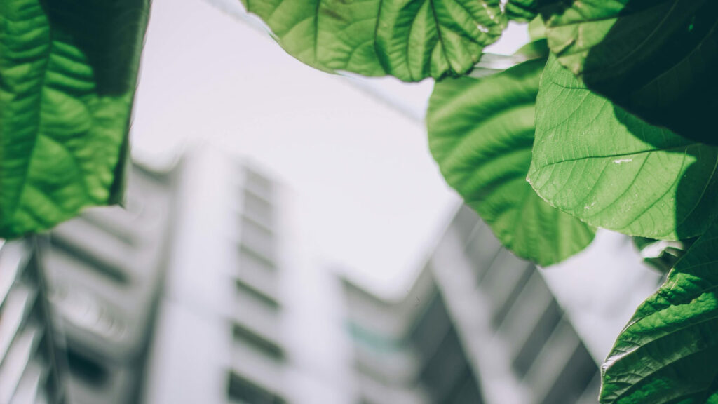 A Cleaner, Greener Future for Your Property